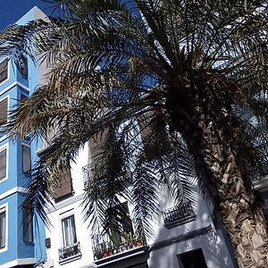 Casa Con Palmera - Port
